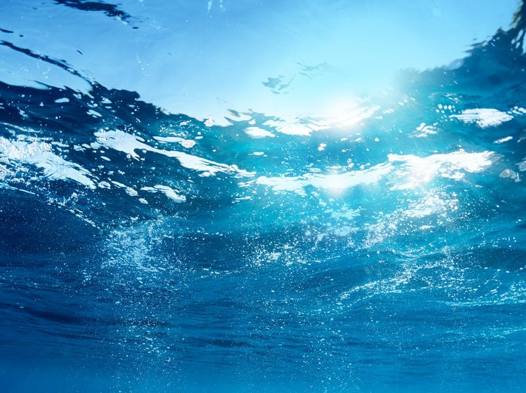 Unterwasser Unterwasseraufnahme